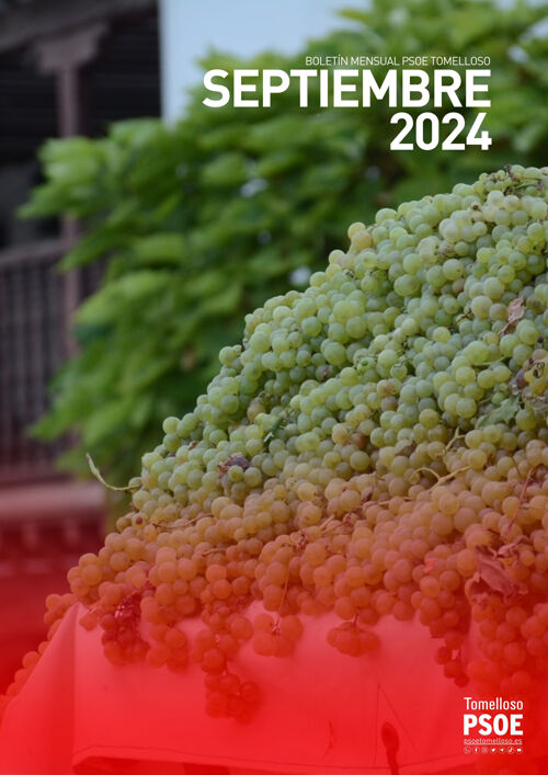 Boletín septiembre 2024