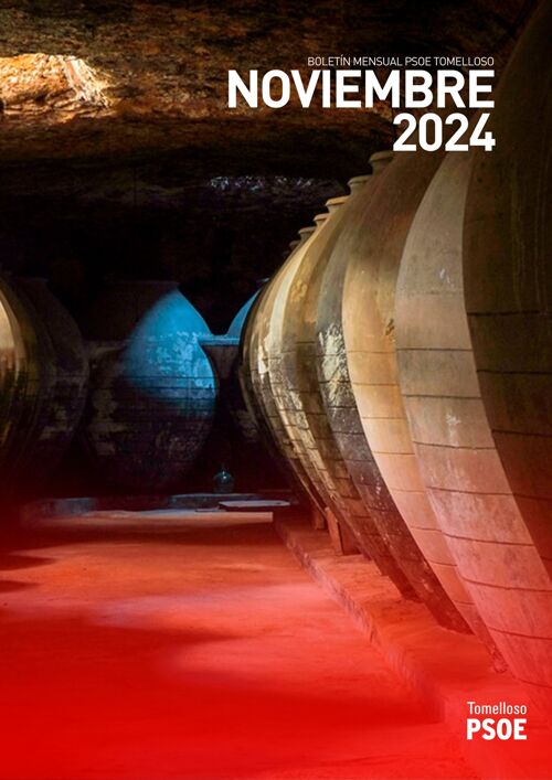Boletín noviembre 2024