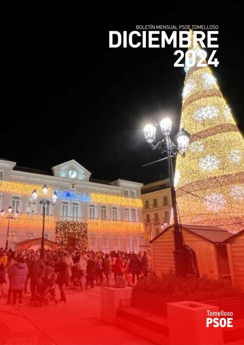 Boletín diciembre 2024