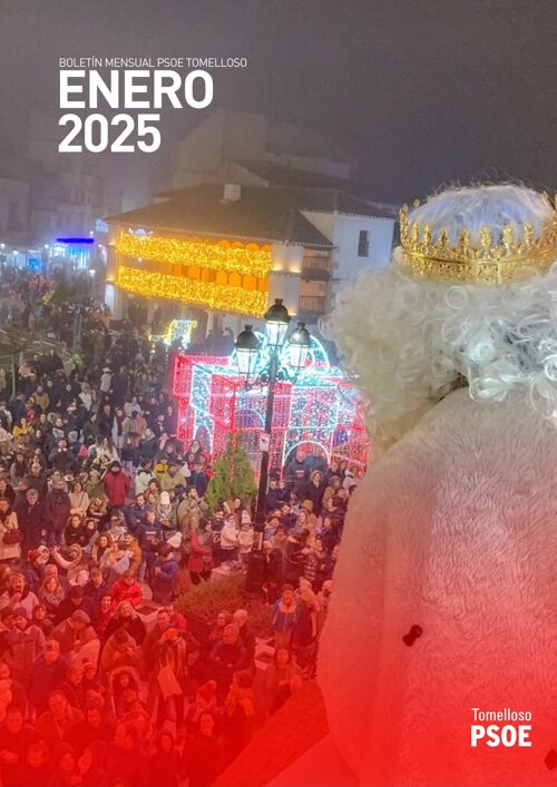 Boletín enero 2025